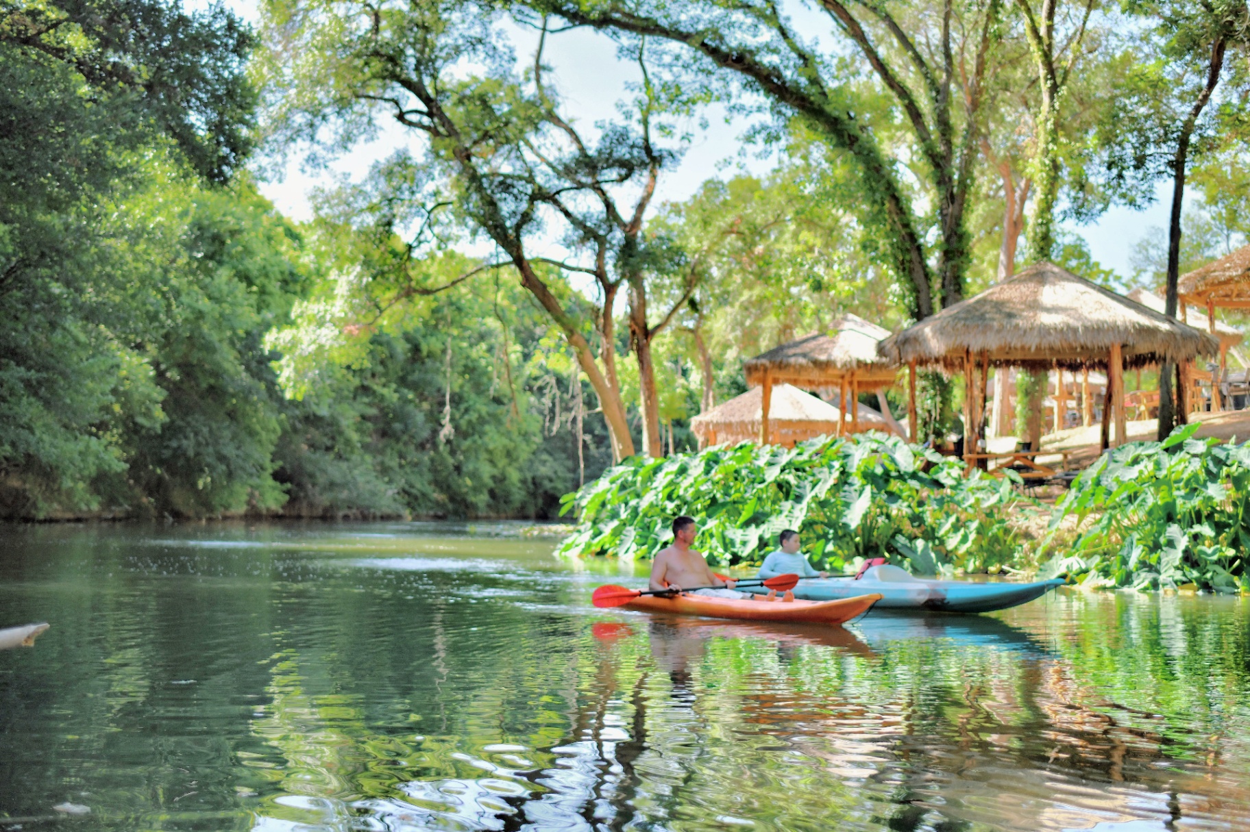 Kayaking on Cibolo Creek